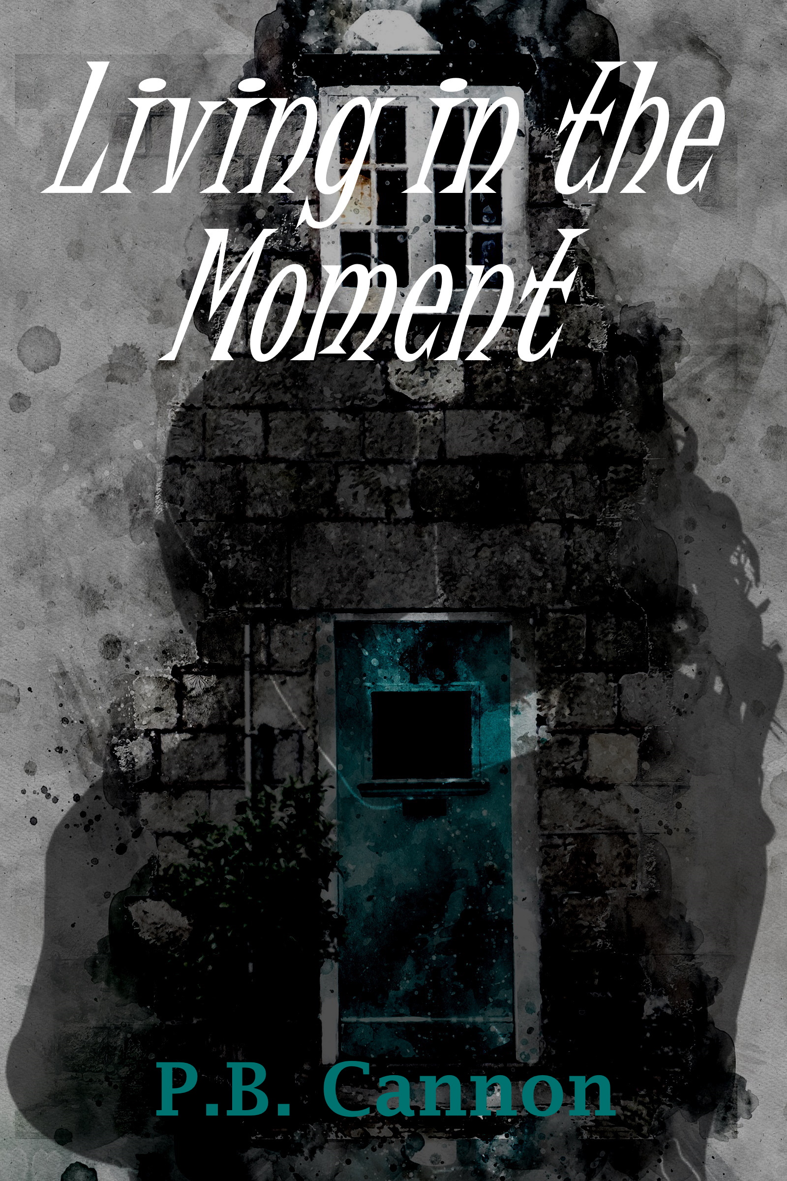 Living in the Moment alternate author name